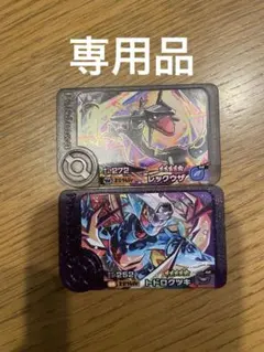 ポケモンフレンダ　WP黒レックウザ　STトドロクツキ