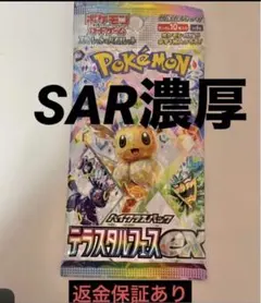 テラスタルフェス　1パック　新品未開封