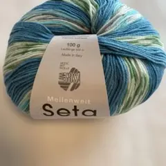 ⭐︎1299 LANA GROSSA海外ソックヤーン　中細 シルク混