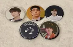 【匿名配送】SEVENTEEN ウォヌ　缶バッジ　まとめ売り