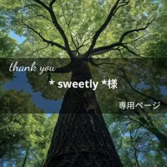 * sweetly *様 2点 まとめ商品　10月16日までお取置き可能