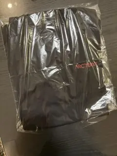 【新品未使用】アークテリクス　限定品　Tシャツ　Sのサムネイル