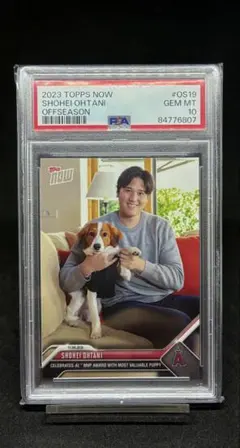 2026年最新】大谷翔平デコピンカードの人気アイテム - メルカリ