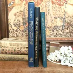 並べるだけで素敵な洋書3冊　アンティーク洋書　フラクトゥール洋書　ドイツ洋書のサムネイル