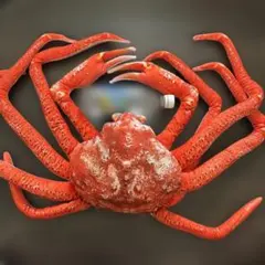 リアル　カニ　超BIG 特大　ぬいぐるみ　本ズワイガニ