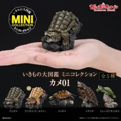 Item thumbnail for item a1cd8130-e64f-435c-a51b-f27eece92bff