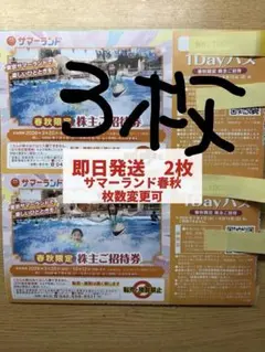 2026年最新】東京サマーランド 株主優待 3枚の人気アイテム - メルカリ