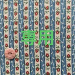 しーちゃんさま専用