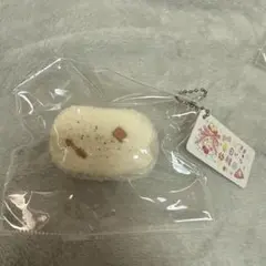 春日幼稚園 スクイーズ タバスク 海外スクイーズ