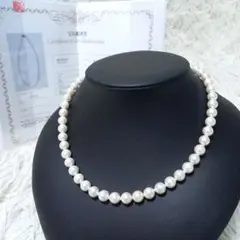 ●鑑別書付き●　アコヤ　本真珠　パール　ネックレス　7.5～8mm　Silver