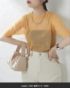 美品　シアー 半袖Tシャツのサムネイル