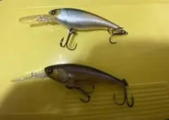 Item thumbnail for item 13ee0999-dad4-48a4-b507-4ab3ab436f5d