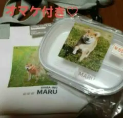 Item thumbnail for item 1ddbb65e-ab4f-4f52-abf0-3e83144a04a2