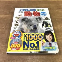 Item thumbnail for item 15a0af7e-6c61-4a41-a57e-e1393f2ca24c