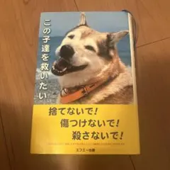 Item thumbnail for item 2cf9917d-27d5-472c-952e-61c5775931c9