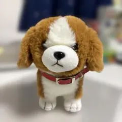 ぬいぐるみ 犬
