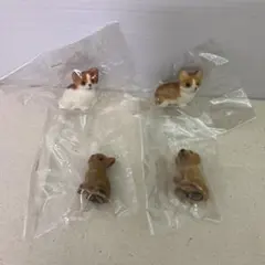 2025年最新】センテックス フロッキーの人気アイテム - メルカリ