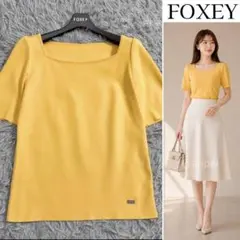 美品 フォクシー シュー トップス 半袖ニット 38 アイスブルー - メルカリ