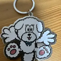【9/30まで限定値下げ】ドンドンイキーホルダー　チャウヌ