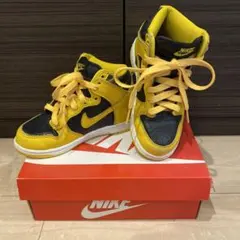 NIKE DUNK HIGH SP (PS) 17cm スニーカー