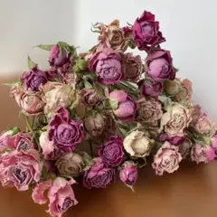 61.ドライフラワー花材小輪スプレーバラ30cm前後30本