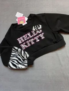 Item thumbnail for item dc83b7af-a2df-4a29-b4ef-7f1132e15e5d