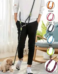 Item thumbnail for item c023b3e0-da72-4dd1-8ff7-520e3bb455d3