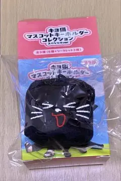 キヨの東キヨドーム 15th Anniversary くじ キヨ猫キューブ