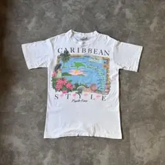 セール‼️90s USA製 スーベニア アート シングルステッチ ヴィンテージT