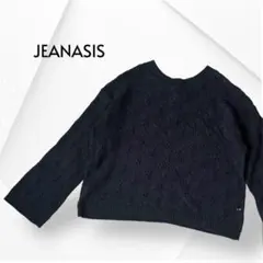 JEANASIS ジーナシス 2way ダイヤ柄 透かし編み ニット 黒 F