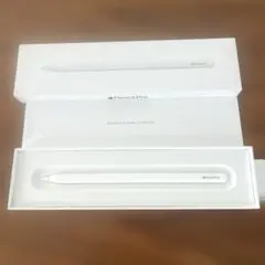 Apple Pencil Pro 専用ケース付と紙袋付き