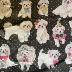 マルチーズ生地マルプー生地黒