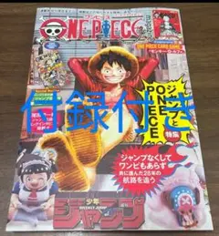 ONE PIECE magazine 特集