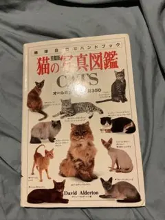 고양이 포토 가이드 CATS 어스 네이처 핸드북