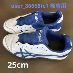 ポイントスパイク