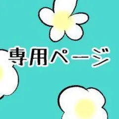 Sibainunokokoro様の専用出品