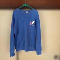 MLBスウェット　フルーツオブザルーム usa製