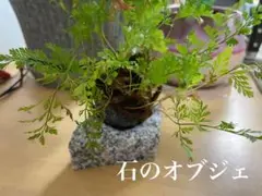 オブジェ 自然石 インテリア装飾