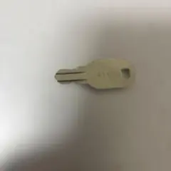 マサ様専用