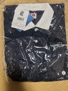 Item thumbnail for item 6b74cfda-ce9e-412a-af0b-674deb892194