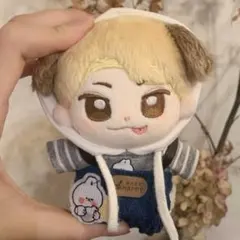 10cm ENHYPEN ジェイク JAKE ぬいぐるみ本体⑰ ENHYPEN ジェイク JAKE - メルカリ