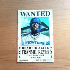 ファイターズ✕ワンピースコラボ フランミル・レイエス選手の手配書似顔絵シール