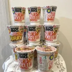 日清　カップヌードル　BIG 3種類　17個　おまけ付き