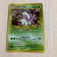 旧裏 メガニウム プレミアムファイル PROMO 第1世代 1996~1999 - メルカリ