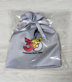 LOVECHROME ラブクロム ポケモン 30周年モデル ピカチュウ セット