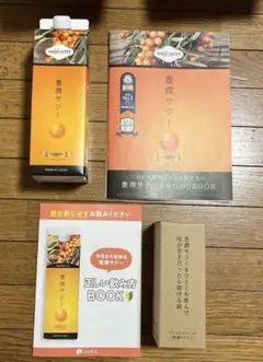 Item thumbnail for item 461c1e39-bfb3-46d7-9298-982748de8d0a