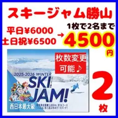スキージャム勝山　リフト割引券2枚　株主優待