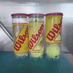 Item thumbnail for item 06ee001f-2ddf-4d72-82b9-d9dbc49f859c