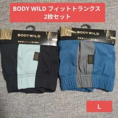 BODY WILD フィットトランクス Lサイズ 2枚セット