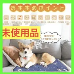 Item thumbnail for item 6e614ffa-3b1f-4883-a465-66f58c6113f9